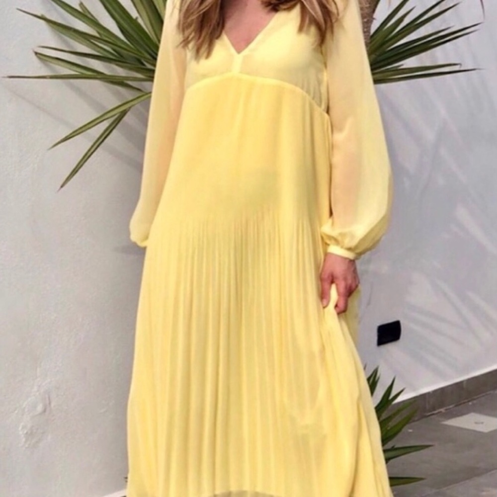 Zara chiffon pleated long sleeve maxi dress lined size medium